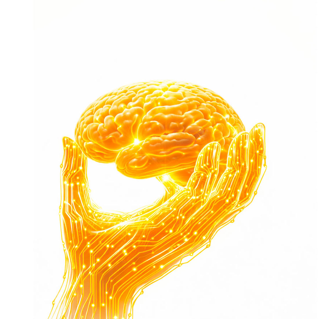 M974ef69903a119d6718c707a2ceb778b1766101761440